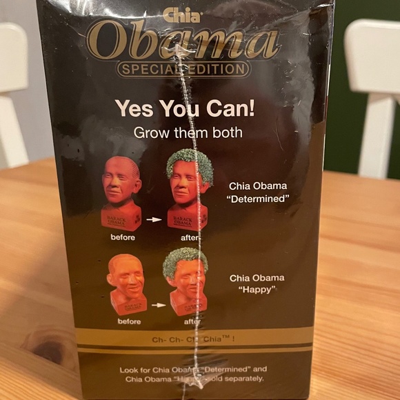 Obama Chia Pet - Picture 2 of 3